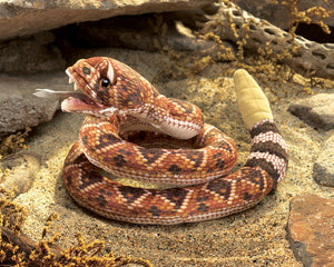 Rattlesnake Folkmanis Puppet