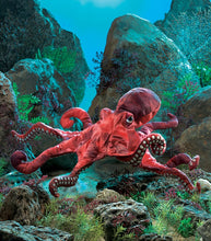 Load image into Gallery viewer, Octopus, Red Folkmanis Puppet