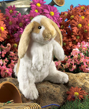 Load image into Gallery viewer, Rabbit, Standing Lop Folkmanis Puppet