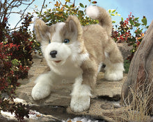 Load image into Gallery viewer, Wolf Pup Folkmanis Puppet