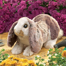 Load image into Gallery viewer, Rabbit, Lop Baby Folkmanis Puppet