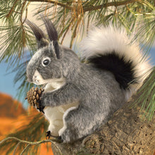 Load image into Gallery viewer, Squirrel, Abert&#39;s Folkmanis Puppet