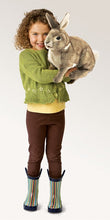Load image into Gallery viewer, Rabbit, Cottontail Folkmanis Puppet