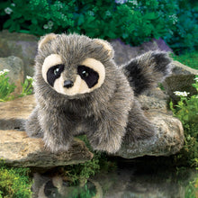 Load image into Gallery viewer, Raccoon, Baby Folkmanis Puppet