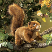 Load image into Gallery viewer, Squirrel, Red Folkmanis Puppet