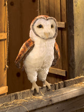 Load image into Gallery viewer, Owl, Barn Folkmanis Puppet